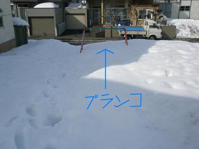 公園の雪 6.jpg