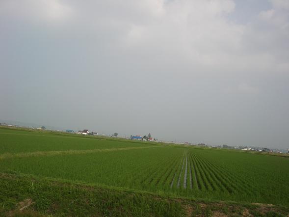 北海道米の生産量を誇る鷹栖　１３.jpg