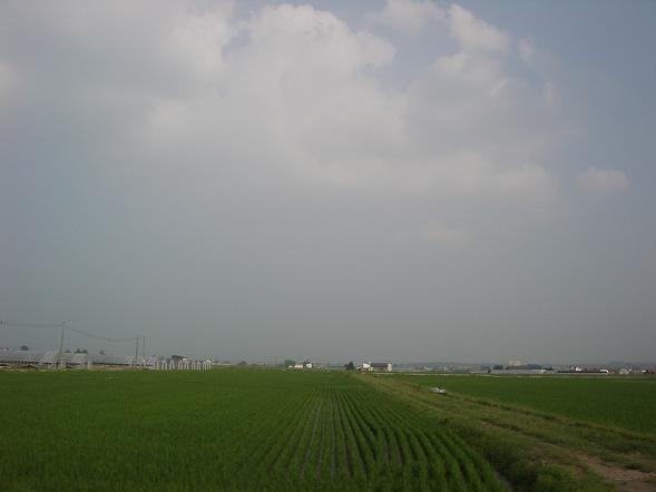 北海道米の生産量を誇る鷹栖　１４.jpg