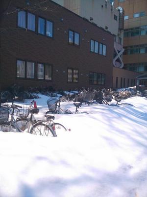 １雪の中から自転車が.jpg